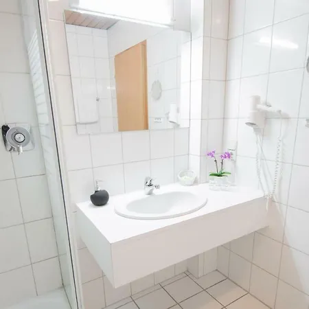 ホテル Laufelder Hof