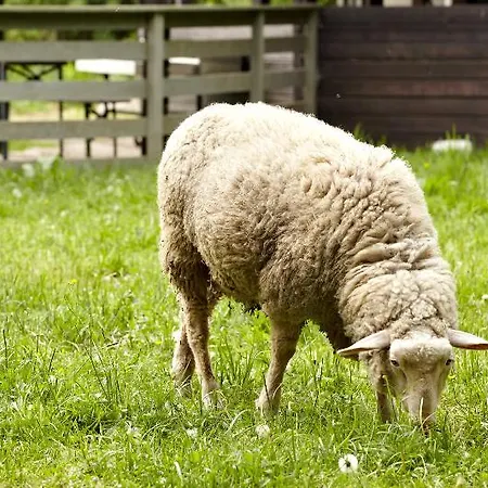 Laufelder Hof Otel 3*