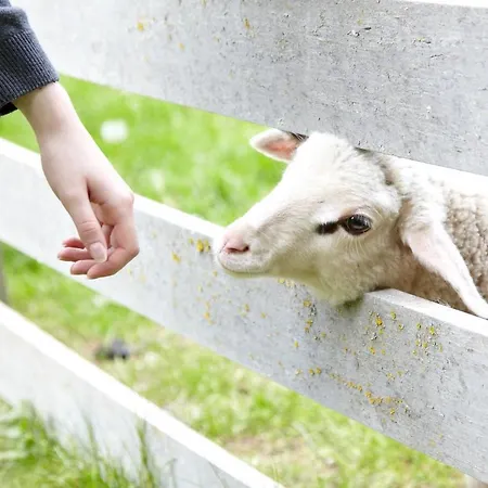 Laufelder Hof Otel 3*